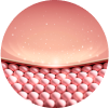 Elasticity