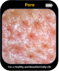 Pore Size